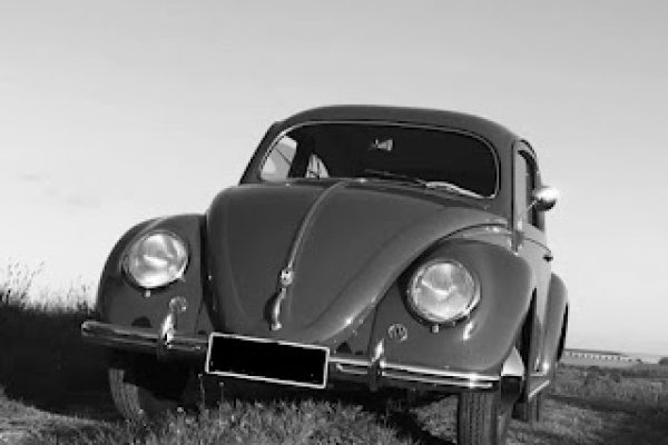 310756690_6527258817300556_2303010515233857104_n